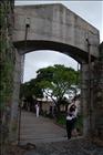33 Colonia